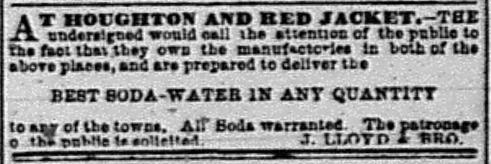 Newspaper ad - The Portage Lake Mining Gazette, 02 Feb 1871