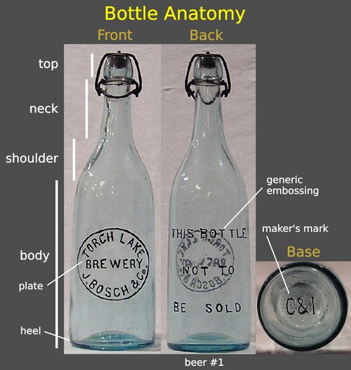 bottle antomy